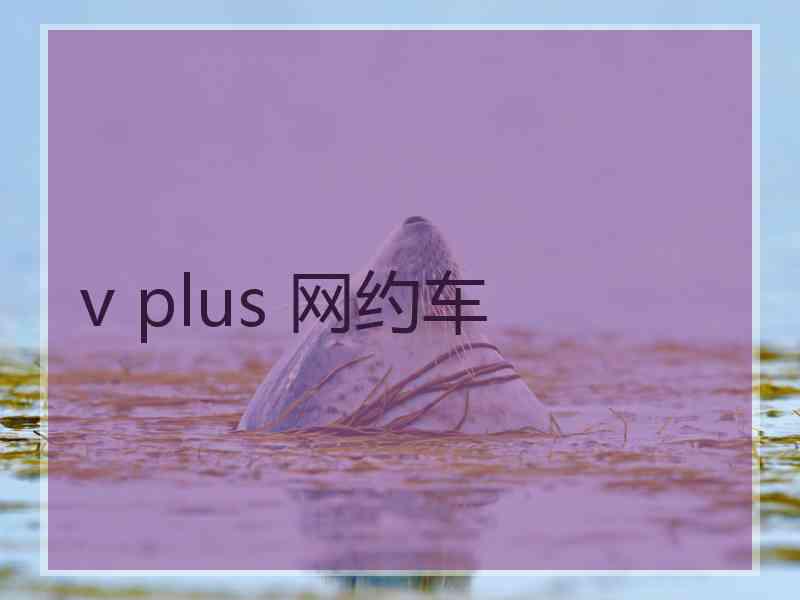 v plus 网约车