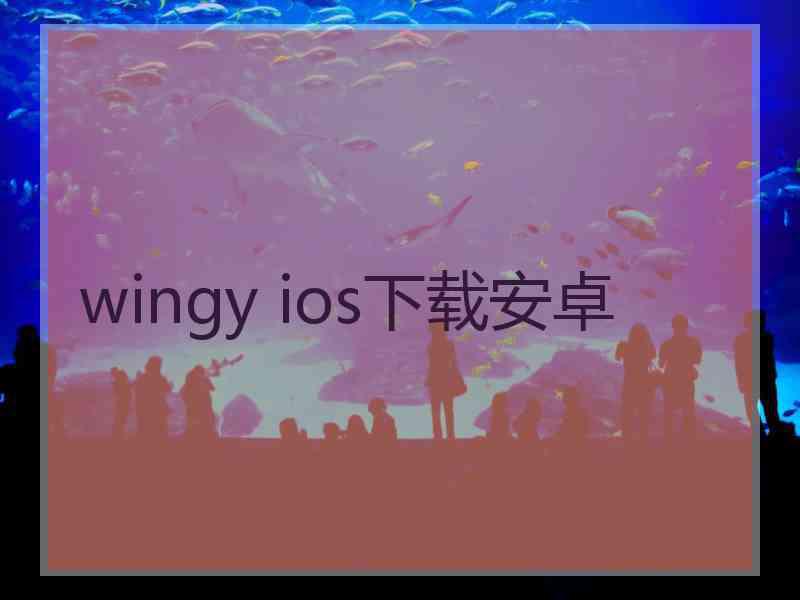 wingy ios下载安卓