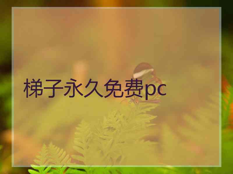 梯子永久免费pc