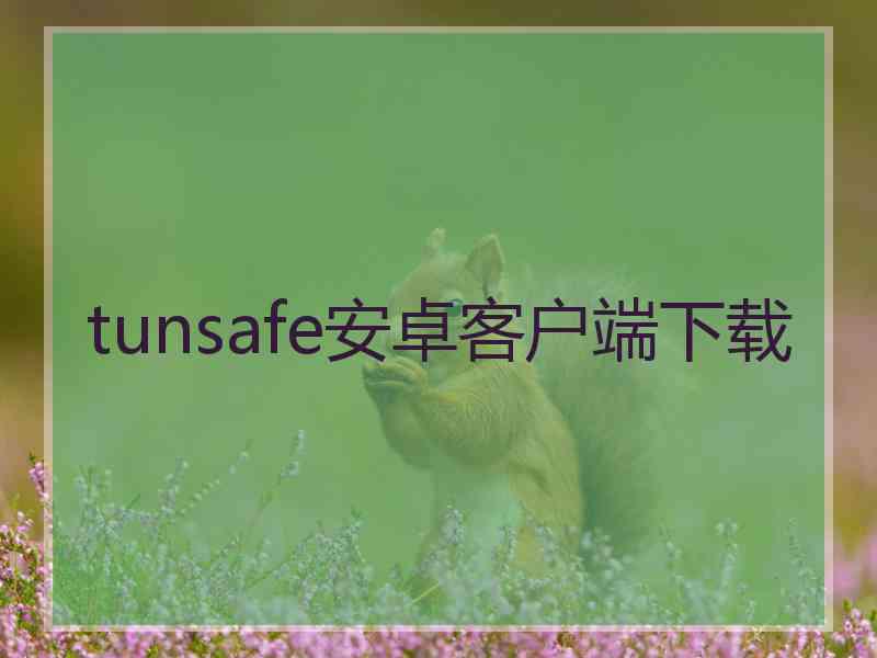 tunsafe安卓客户端下载