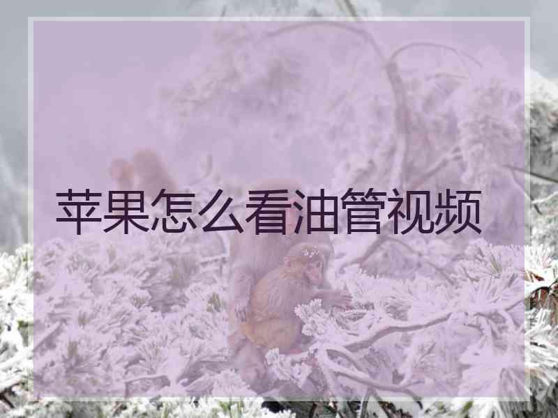 苹果怎么看油管视频