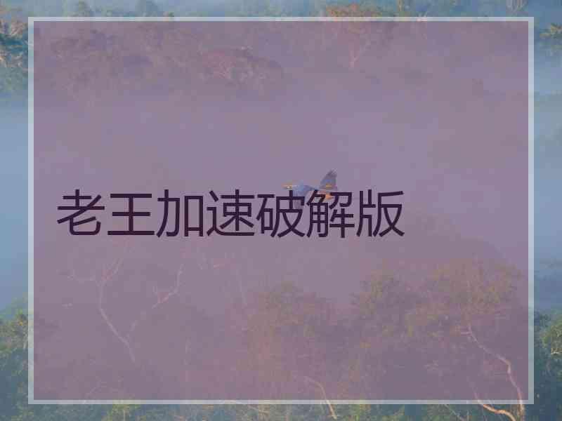 老王加速破解版