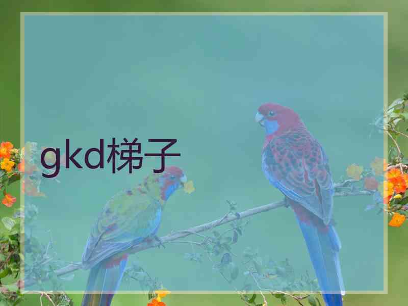 gkd梯子