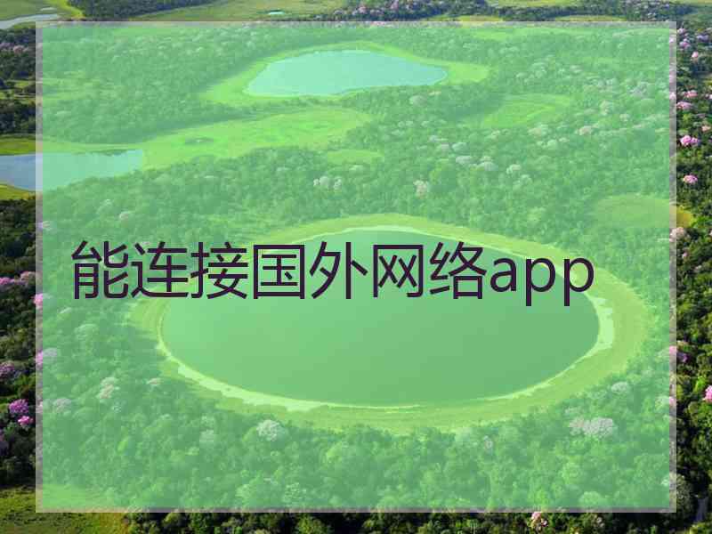 能连接国外网络app