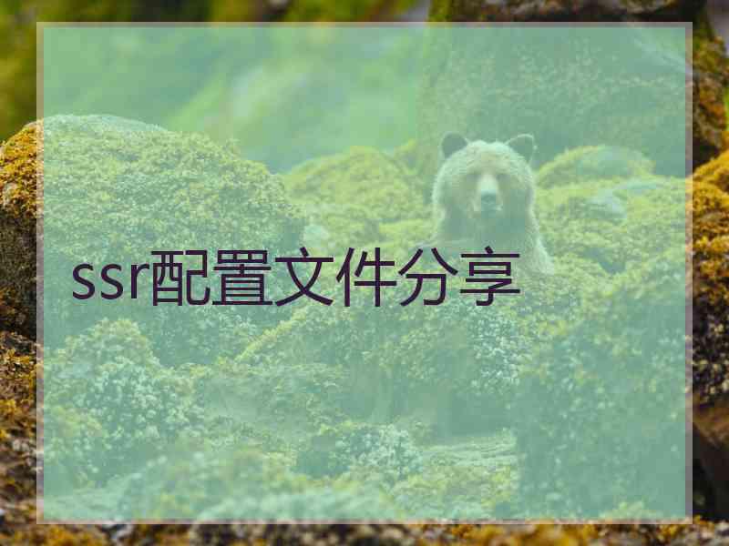 ssr配置文件分享