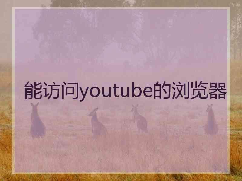 能访问youtube的浏览器