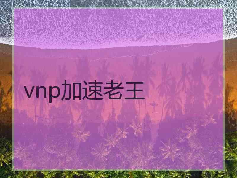 vnp加速老王