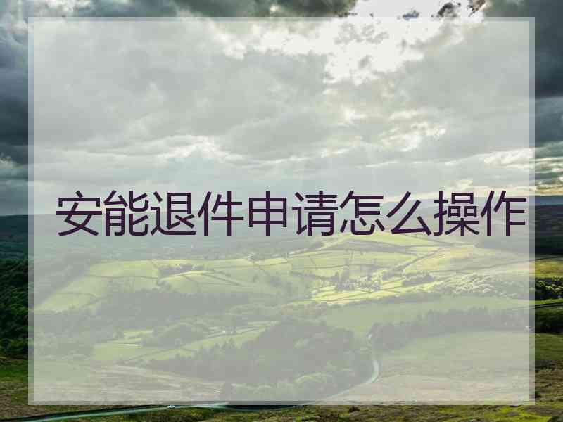 安能退件申请怎么操作