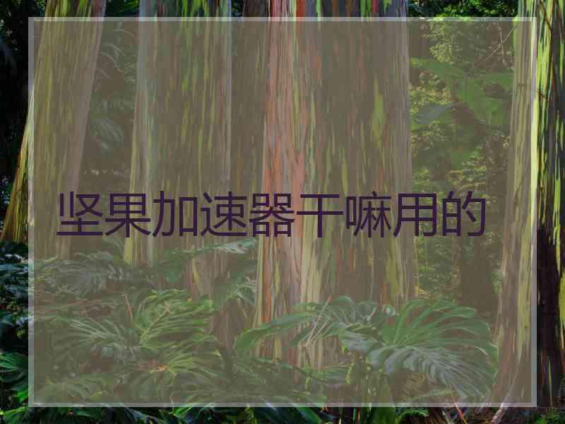 坚果加速器干嘛用的