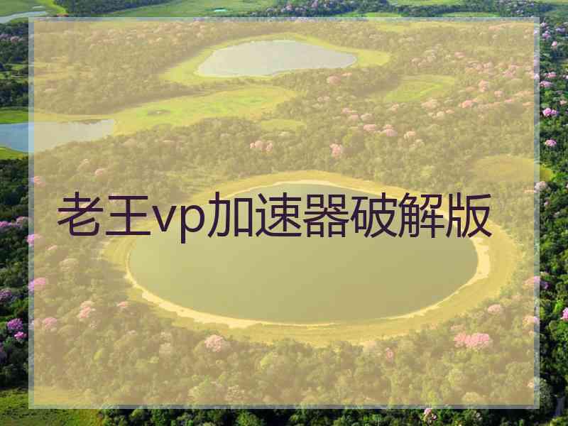 老王vp加速器破解版